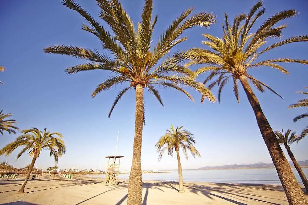 Отель Mll Mediterranean Bay - Adults Only Эл Аренал